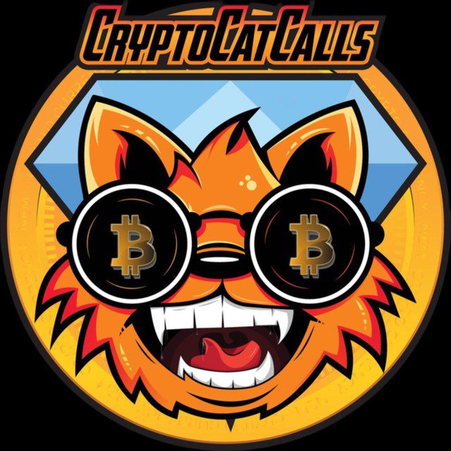 CryptoCat CALLs