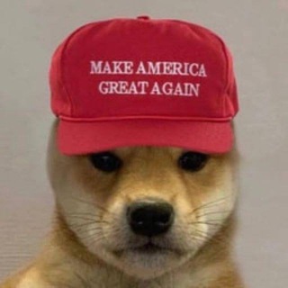 DogWifMagaHat